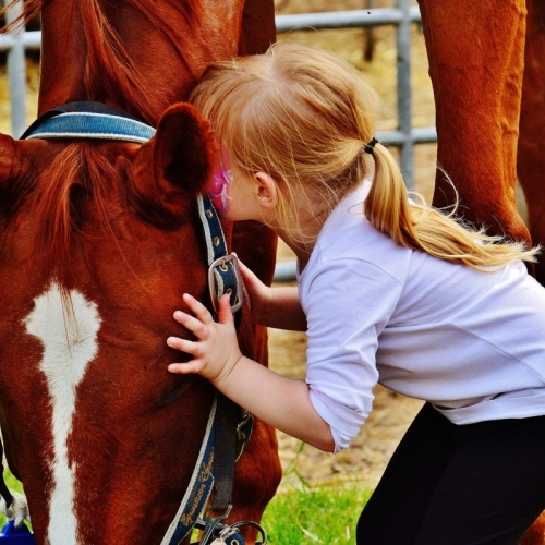 Příměstský tábor: Letem ZOO světem 