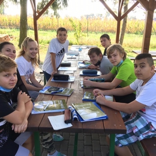 Matematika v přírodě