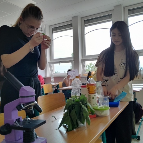 Jednorožci a karboxylové kyseliny