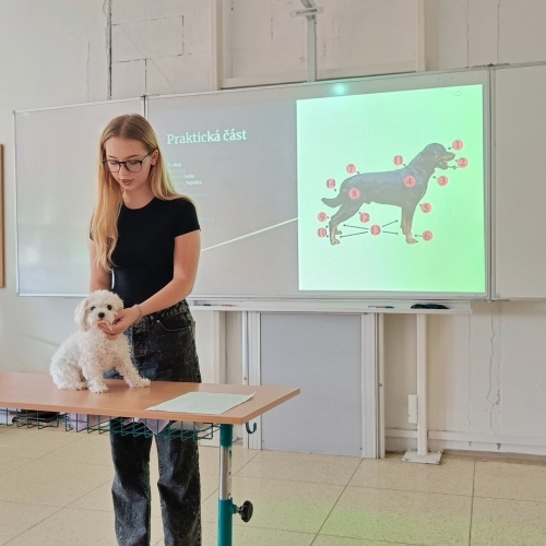 Závěrečné práce žáků 9. ročníku