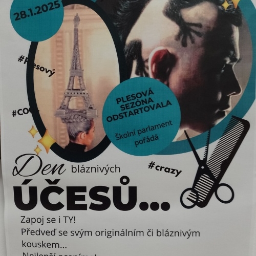 Den bláznivých účesů