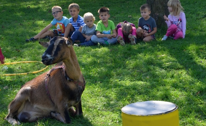 Edukativní a zážitkový program s kozami 