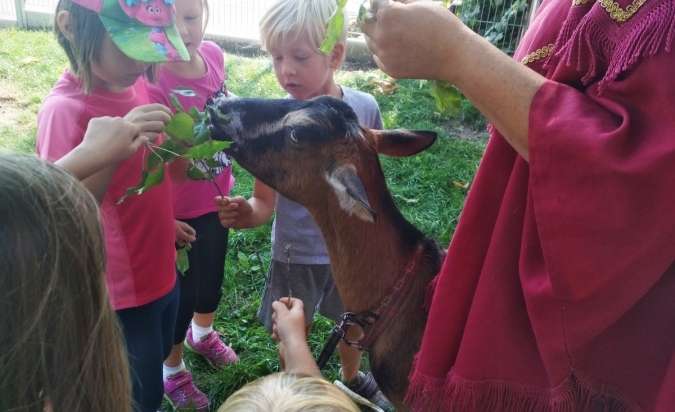 Edukativní a zážitkový program s kozami 