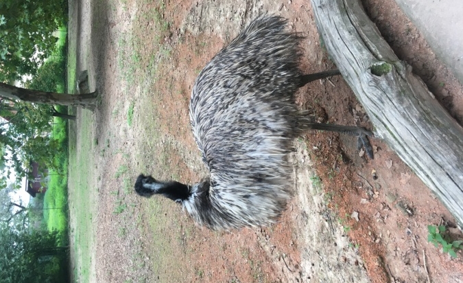 Přírodovědná exkurze ZOO Lešná