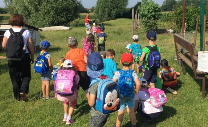 Příměstský tábor - Letem Zoo světem 