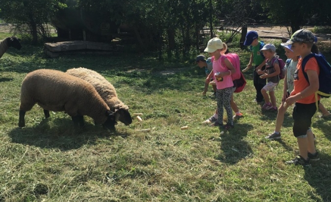 Příměstský tábor - Letem Zoo světem 