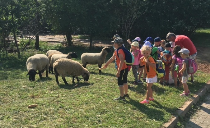 Příměstský tábor - Letem Zoo světem 