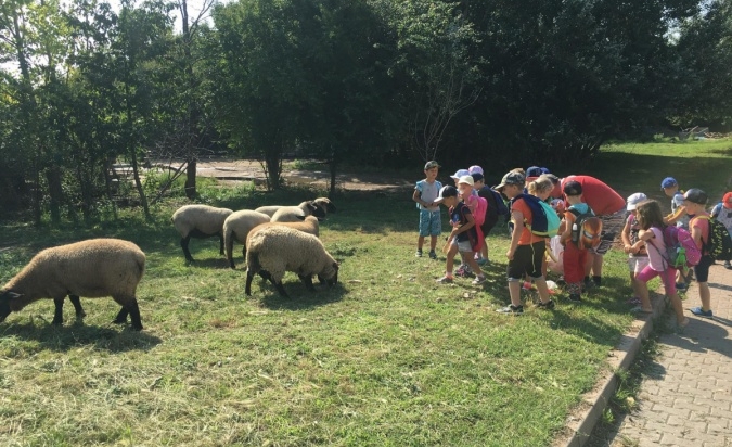 Příměstský tábor - Letem Zoo světem 