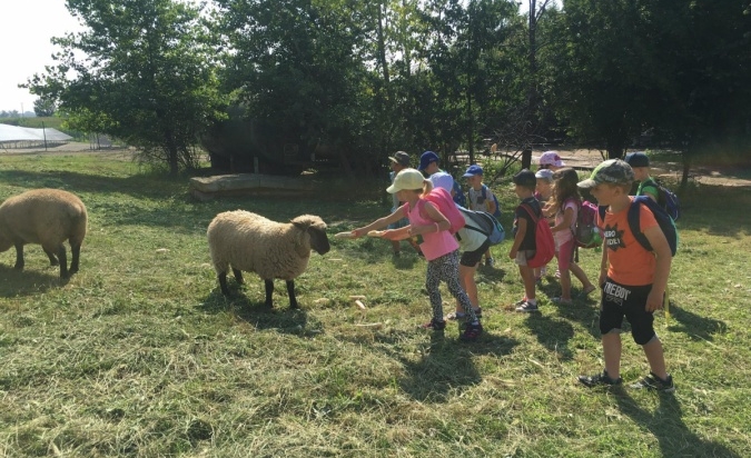 Příměstský tábor - Letem Zoo světem 