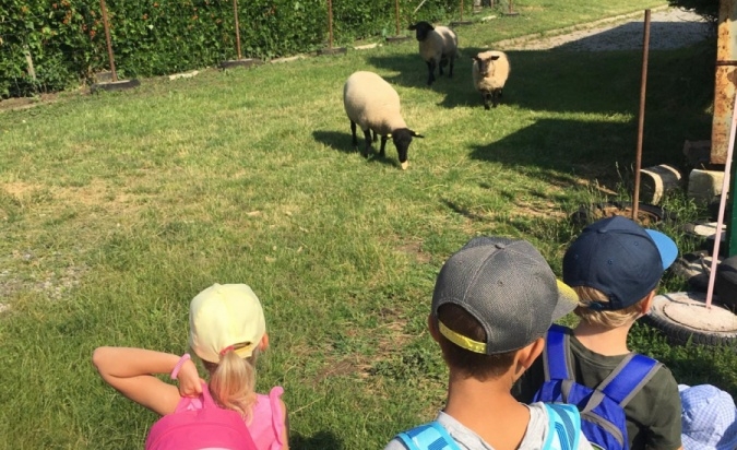 Příměstský tábor - Letem Zoo světem 