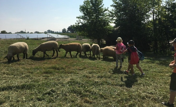 Příměstský tábor - Letem Zoo světem 