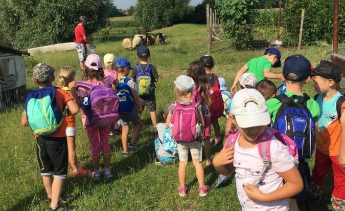 Příměstský tábor - Letem Zoo světem 