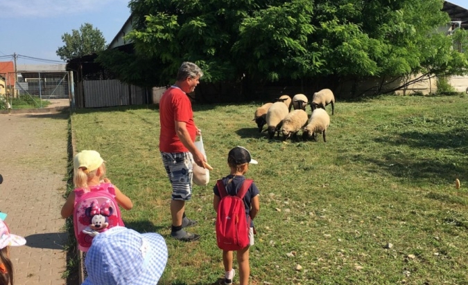 Příměstský tábor - Letem Zoo světem 