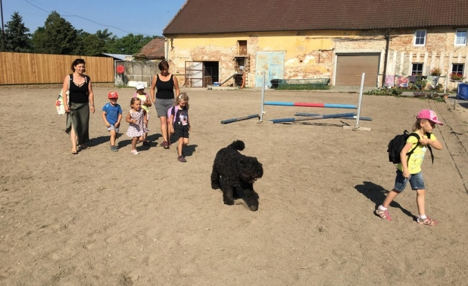 Příměstský tábor - Letem Zoo světem 