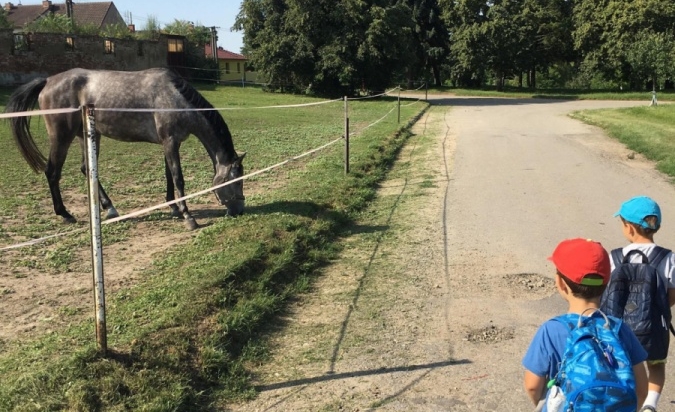 Příměstský tábor - Letem Zoo světem 