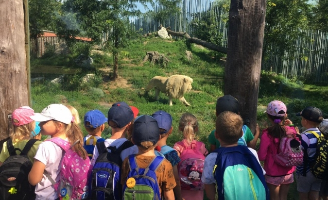 Příměstský tábor - Letem Zoo světem 