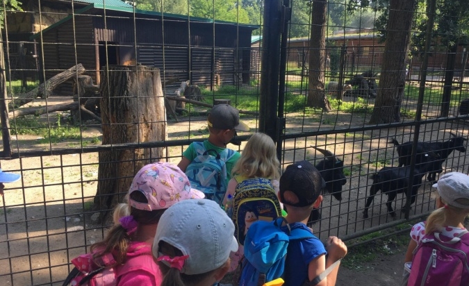 Příměstský tábor - Letem Zoo světem 