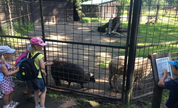 Příměstský tábor - Letem Zoo světem 