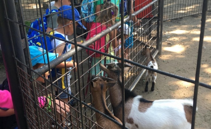 Příměstský tábor - Letem Zoo světem 