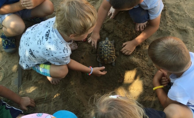 Příměstský tábor - Letem Zoo světem 