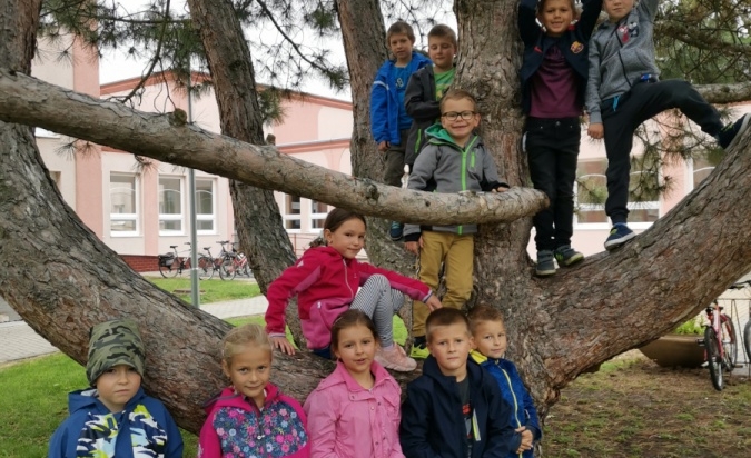 Dobrodružství se skřítkem STROMOVNÍČKEM