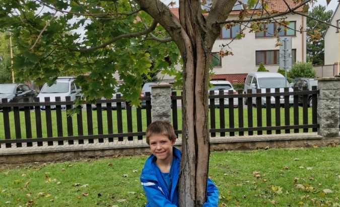 Dobrodružství se skřítkem STROMOVNÍČKEM