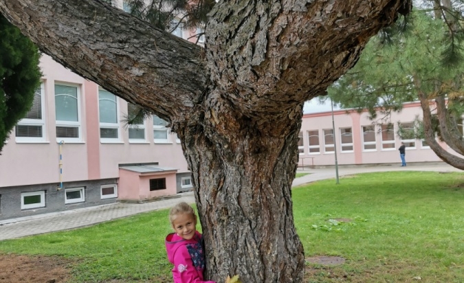 Dobrodružství se skřítkem STROMOVNÍČKEM