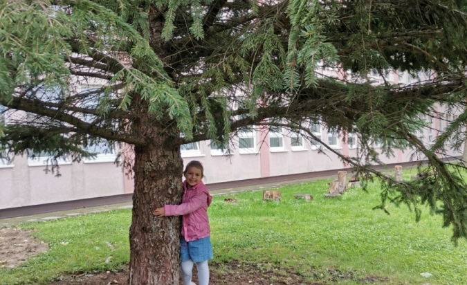 Dobrodružství se skřítkem STROMOVNÍČKEM