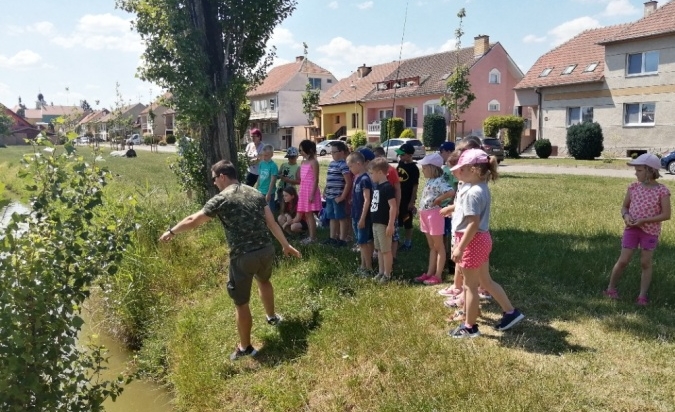 Projektové dny v ŠD