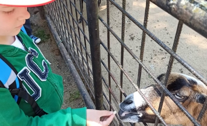 Výlet Pirátskou lodí a Zoo Hodonín 