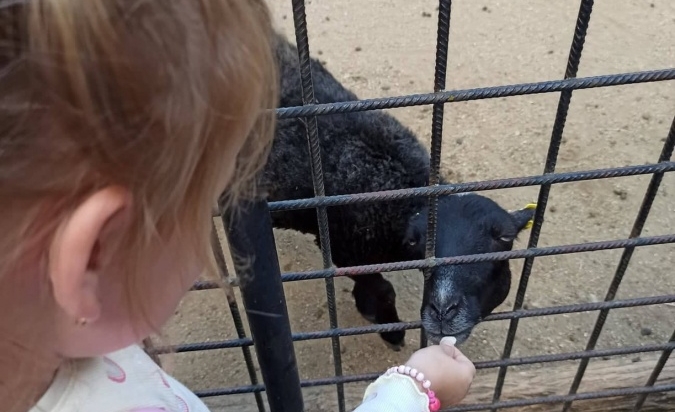 Výlet Pirátskou lodí a Zoo Hodonín 