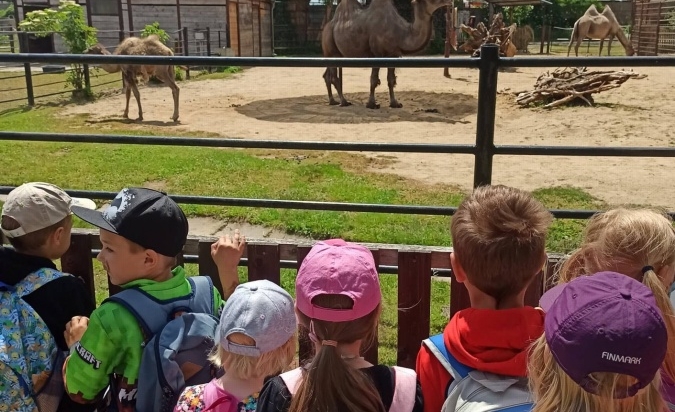 Výlet Pirátskou lodí a Zoo Hodonín 