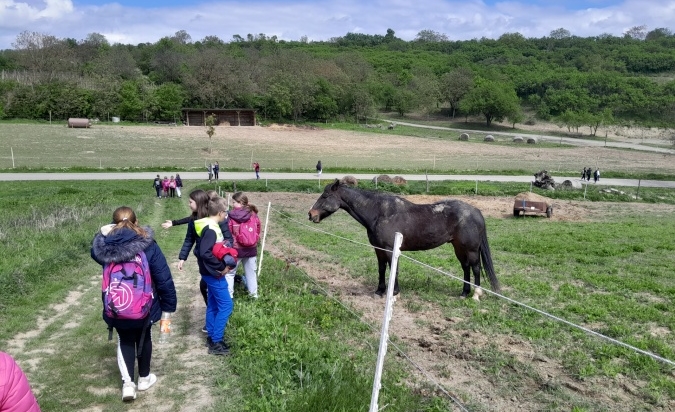 Pobytový výukový program - den první 
