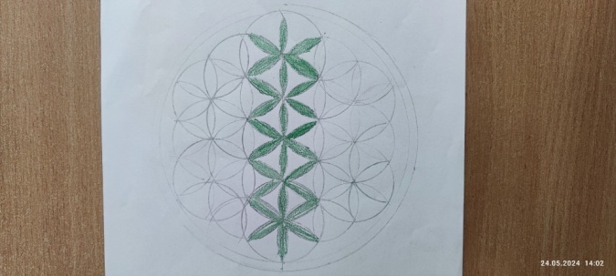 Rýsování geometrických květů