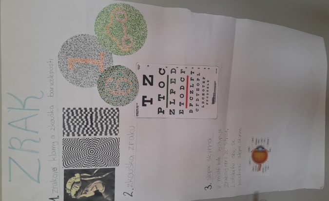 Výuka biologie člověka v 8.A