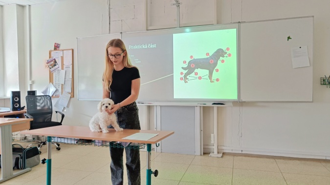 Závěrečné práce žáků 9. ročníku