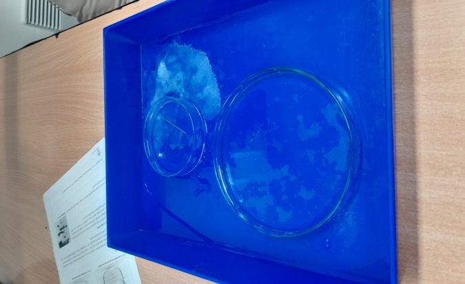 První laboratorní cvičení 8. A