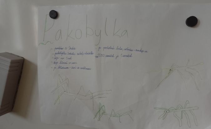 Zvířata z klubu pomáhají s učením - písmeno 