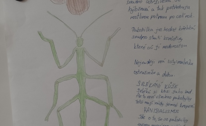 Zvířata z klubu pomáhají s učením - písmeno 