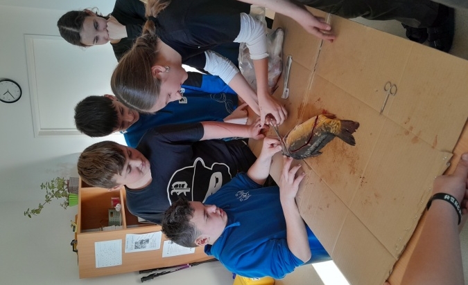 Pitva ryby...úspěšně proběhla  (7. A a Biologická praktika)