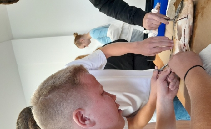 Pitva ryby...úspěšně proběhla  (7. A a Biologická praktika)