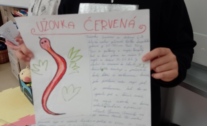 Zvířata z klubu pomáhají s učením - písmeno 