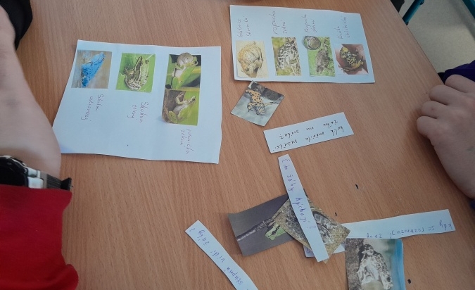Projekt - obojživelníci  hra o přežití