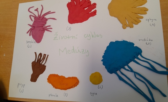 Projekt - žahavci 6. A