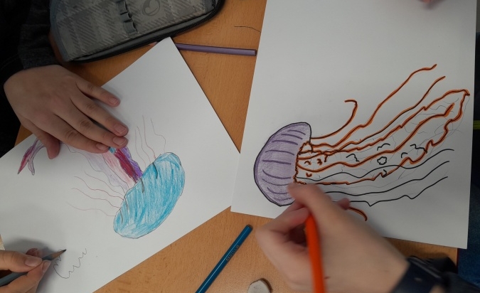 Projekt - žahavci 6. A