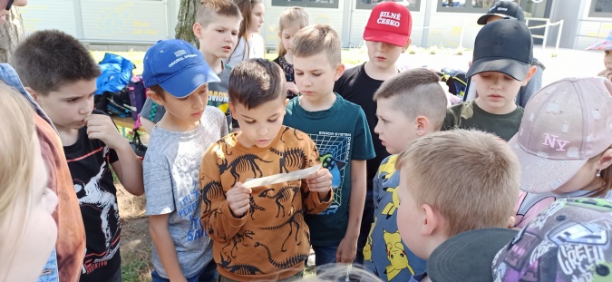 Den Země
